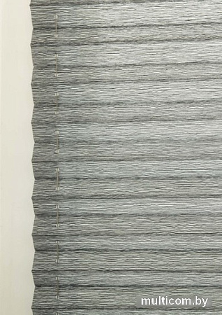 Плиссе Delfa Walnut СПШ-3401/3504 Basic Transparent (57x160, антрацит/белый)