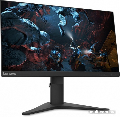 Монитор Lenovo G25-10 65FEGAC2EU