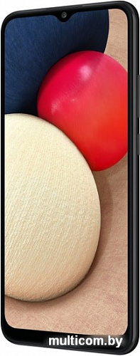 Смартфон Samsung Galaxy A02s SM-A025F/DS (черный)