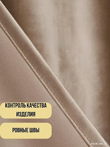 Комплект штор Soft Lines Бархат 9138-D2 (300x240, кофейный)