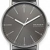 Наручные часы Skagen SKW6577