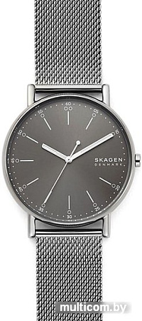 Наручные часы Skagen SKW6577