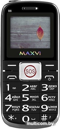 Мобильный телефон Maxvi B8 (черный)