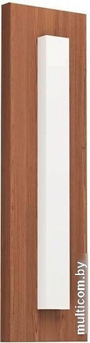 Уличный настенный светильник Eglo Bitetto 900679