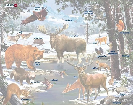 Пазл Larsen Животные Северной Европы FH32