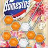 Средство для унитаза Domestos Power 5 Экзотический букет Дуо 2x50 г