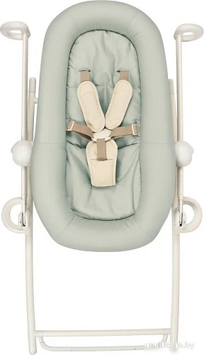 Beaba Lichen Transat Up & Down + Eu Lichen 915049