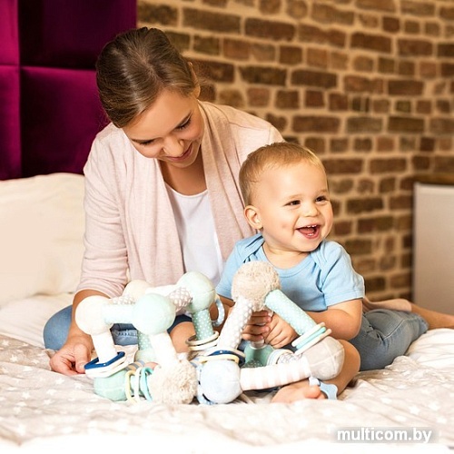 Сортер BabyOno Пирамида 898/01