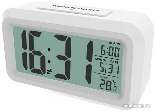 Радиочасы Ritmix CAT-100 (белый)