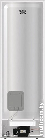 Холодильник Gorenje RK6191SYW
