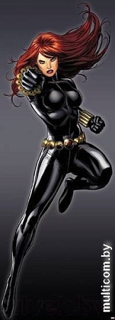 Фотообои Komar Black Widow 1-430 (73x202)