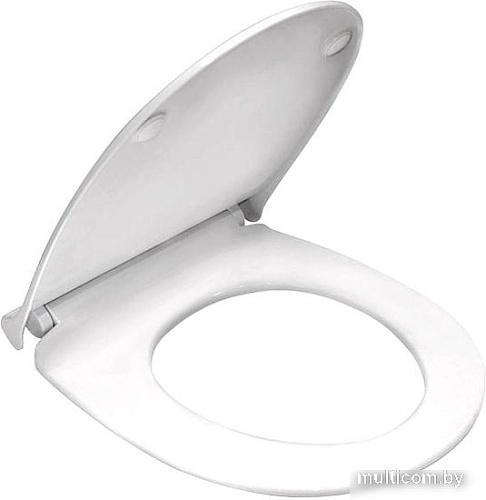 Сиденье для унитаза Berges Wasserhaus Real Slim SO 010303 (с микролифтом)