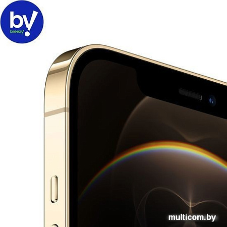 Смартфон Apple iPhone 12 Pro Max 128GB Воcстановленный by Breezy, грейд B (золотистый)