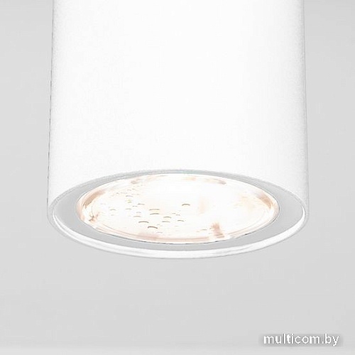 Уличный накладной светильник Elektrostandard Light 2102 35129/H (белый)