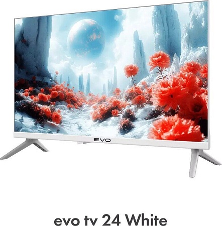 Телевизор Evo TV 24 White TD0051748RU