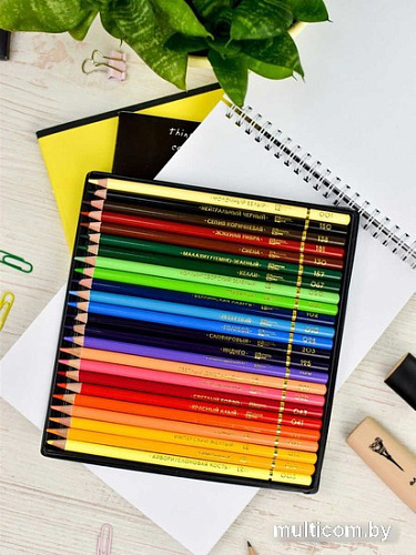 Набор цветных карандашей Феникс+ Классик 64098 (24 цв)
