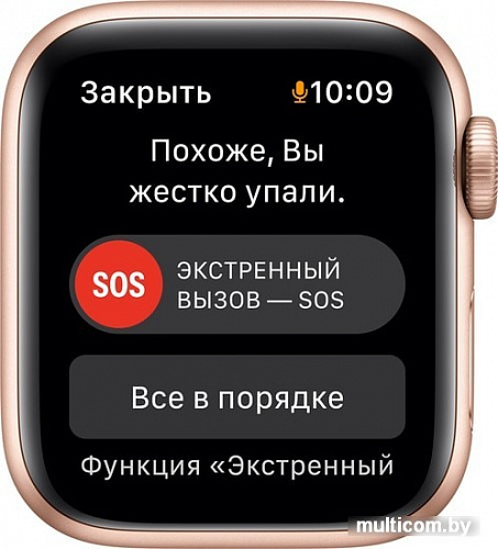 Умные часы Apple Watch SE 40 мм (алюминий золотистый/сияющая звезда)