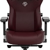 Игровое (геймерское) кресло AndaSeat Kaiser 3 AD12YDC-L-01-A-PV/C (бордовый)