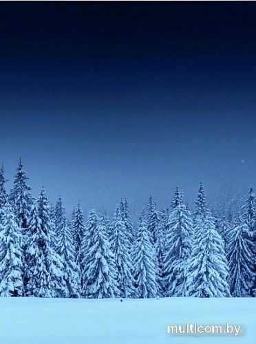 Картина Woodary 3003