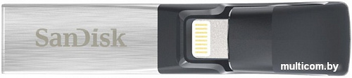 USB Flash SanDisk iXPAND 32GB [SDIX30C-032G-GN6NN]