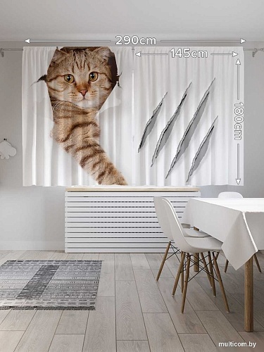 JoyArty Кот с царапиной p_31202 (145x180)