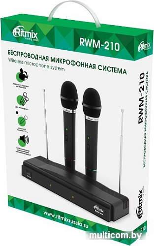 Микрофон Ritmix RWM-210