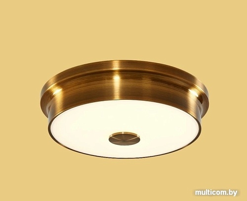 Люстра-тарелка Citilux Фостер-2 CL706222