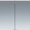 AM.PM Шкаф с зеркалом Sensation 100 M30MCX1001WG (белый)