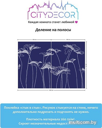 Виниловые обои Citydecor Perfect Lines 5 200x140