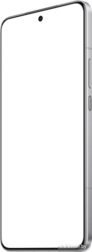 Телефон Xiaomi 15 Ultra 16GB/512GB международная версия (черный/серебристый)