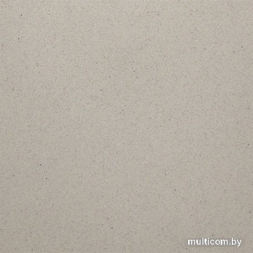 Кухонная мойка Wisent 510-30WR (с сифоном GER013)