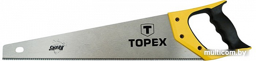 TOPEX 10A452