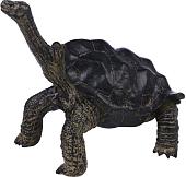 Фигурка Masai Mara Мир диких животных. Звезчатая черепаха MM218-372