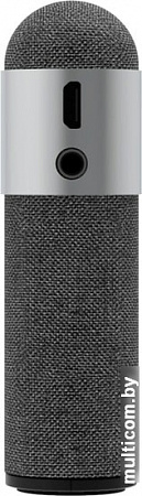 Беспроводная колонка GZ Electronics LoftSound GZ-55 (серый)