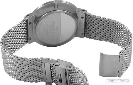 Наручные часы Skagen SKW6234