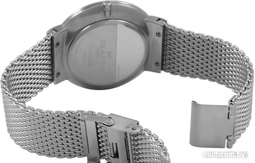 Наручные часы Skagen SKW6234