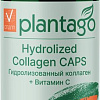 Plantago Гидролизованный + Витамин С (60капсул)