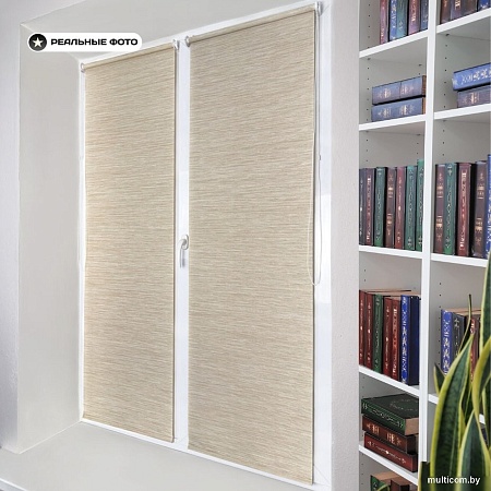 Рулонные шторы Sundays Home Форест 72х160 с 2-мя направляющими LM-15 150см (бежевый)