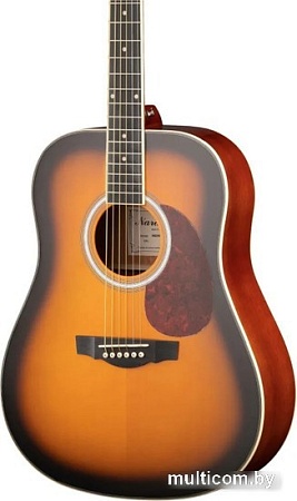Акустическая гитара Naranda DG220BS