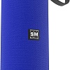 Беспроводная колонка Soundmax SM-PS5015B (синий)