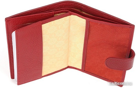 Обложка на документы Fabretti Q09D-51