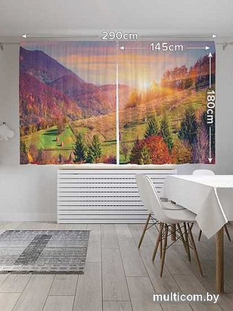 Комплект штор JoyArty Вперед за солнцем Oxford DeLux 1.45x1.8 м (2 шт)