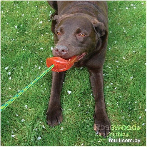 Игрушка для собак Rosewood Вишня Био 43007/RW