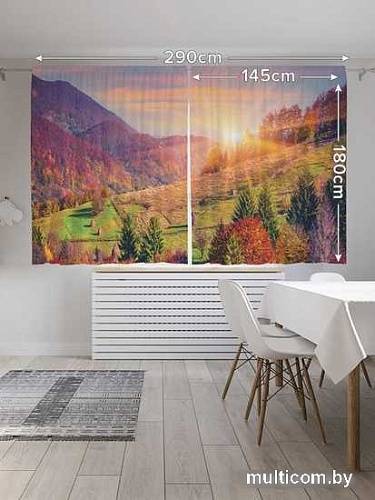 Комплект штор JoyArty Вперед за солнцем Oxford DeLux 1.45x1.8 м (2 шт)