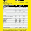 Аминокислоты Binasport Advanced PRO BCAA (200г, апельсин)