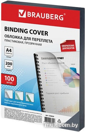 Пластиковая обложка для переплета BRAUBERG A4 200 мкм 100 шт 530829 (прозрачный)