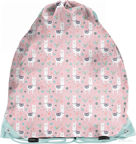 Мешок для обуви Paso PP22LM-712