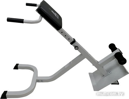 Гиперэкстензия DFC Homegym SUB025