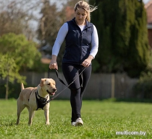 Поводок Halti Training Lead 14120B (черный)