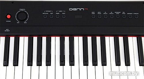 Цифровое пианино DENN PRO PW01
